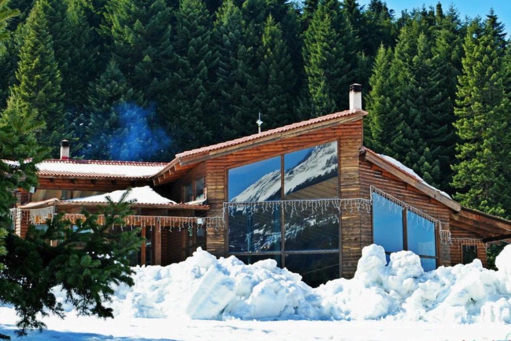 Elati Electra'S Cozy House Villa Kültér fotó